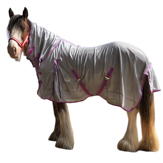 Clydesdale Horse Rugs