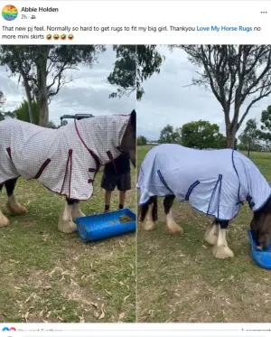 Love My Horse feedback from Bianca Lane
