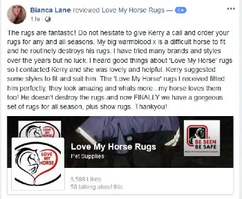 Feedback from Abbie Holden on a clydy love my horse rug