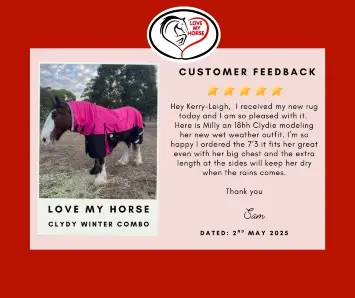 clydy%20feedback%201.webp