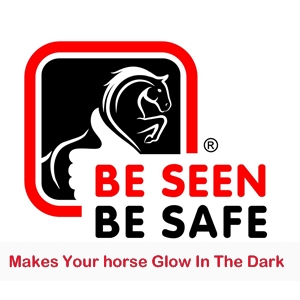 Be Seen – Be Safe reflecting horse rug  logo