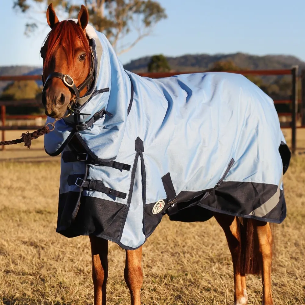 Maree T horse