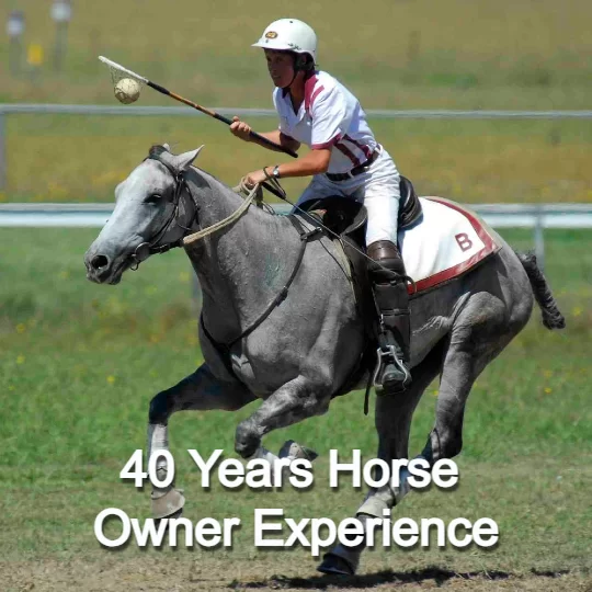 40 years Horse Owner Experience