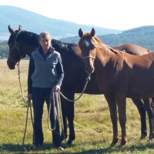 Kerry Leight with horses
