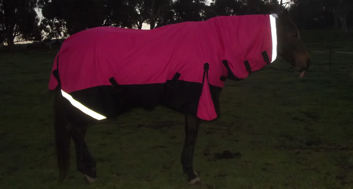 Be Seen Be Safe - Reflective Horse Rugs 