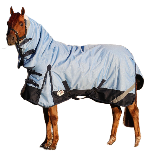 Winter Horse Rugs