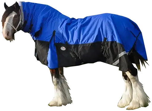 Clydy horse rugs