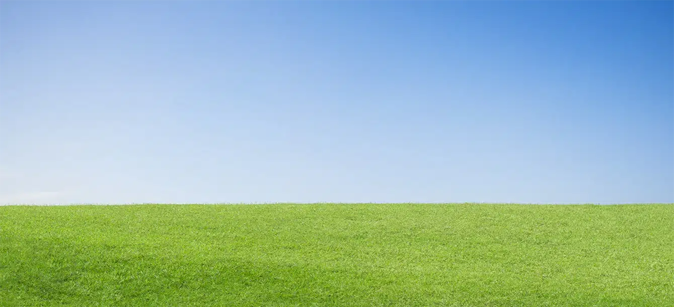 Background image (grass under blue sky)
