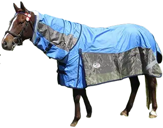 Standard size winter horse rugs