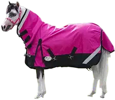 Miniature horse rugs category